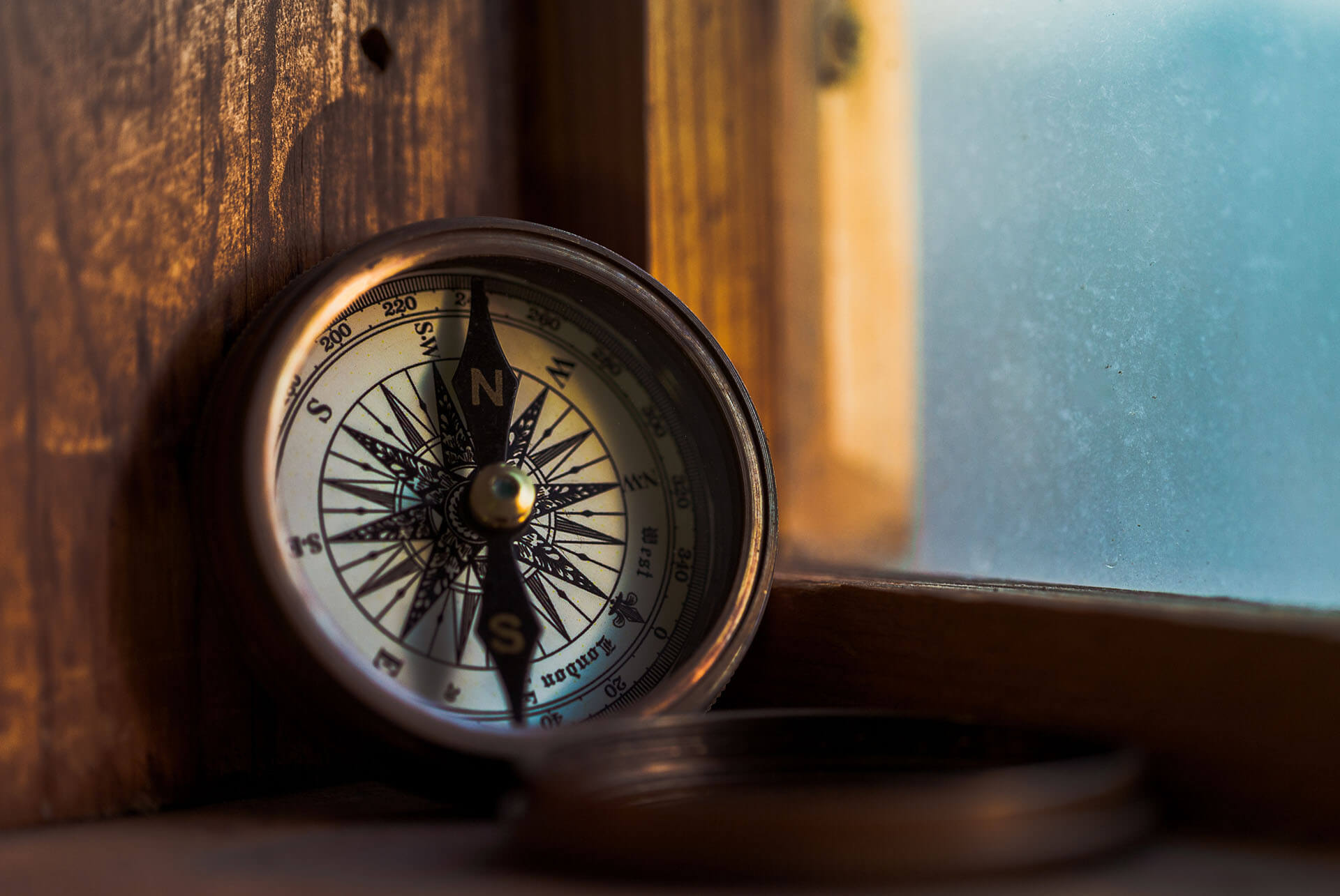 What Is My Purpose in Life?